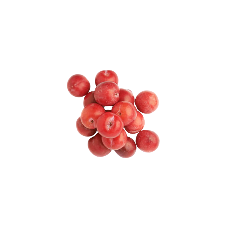 Red Beauty Plum organic